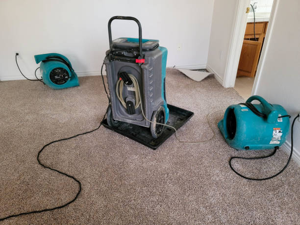Best Sewage cleanup and water damage restoration  in Marietta, OK