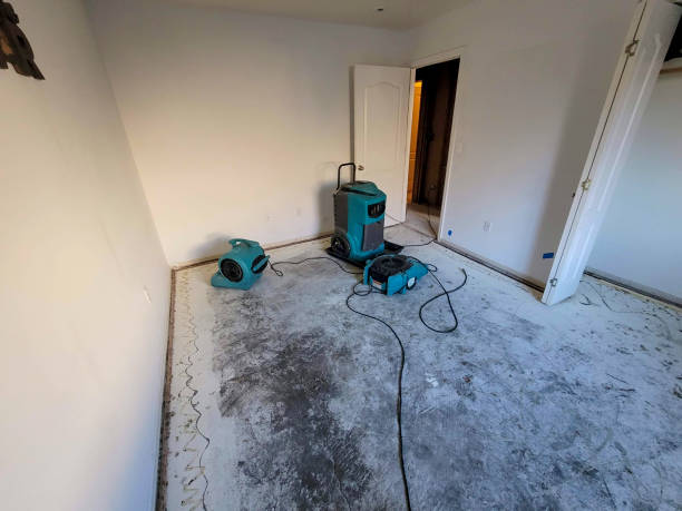 Best Water damage cleanup near me  in Marietta, OK