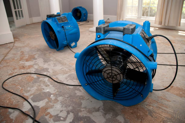 Best Local water damage restoration  in Marietta, OK