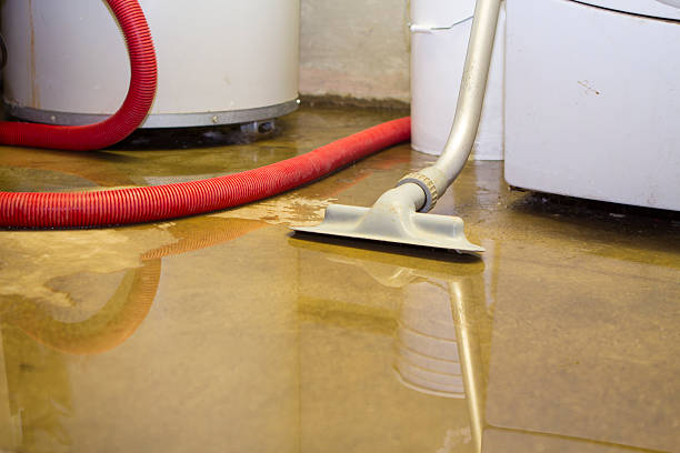 Best Water damage restoration near me  in Marietta, OK