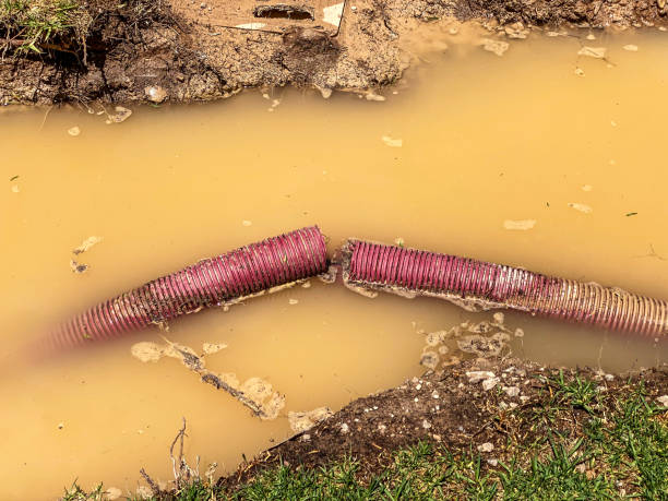 Best Professional water damage repair  in Marietta, OK